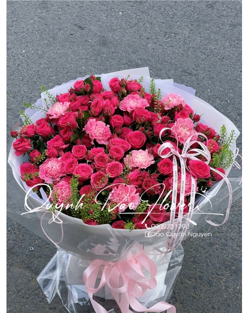 Hoa Sophia, hồng chùm 