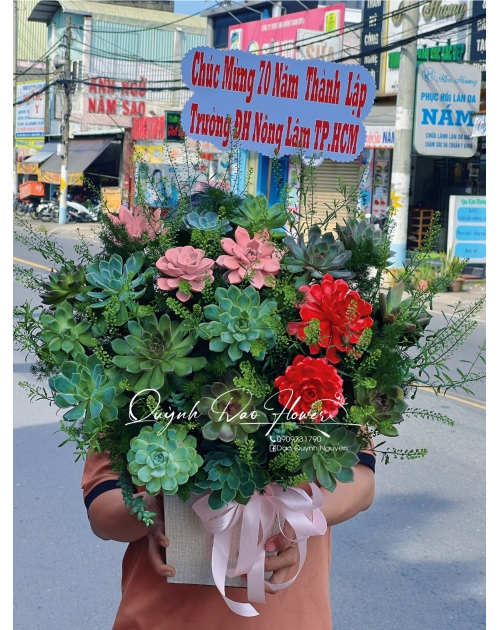 Hoa sen đá 1 triệu 