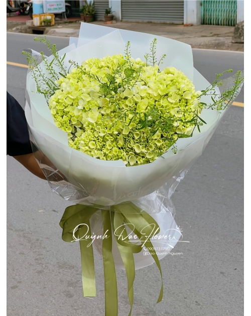 Bó hoa Cẩm Tú cầu tặng tốt nghiệp người yêu 