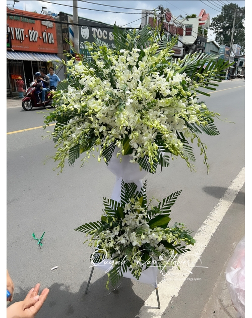 Kệ lan đi viếng 