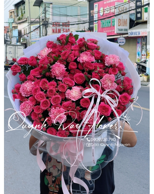 Hoa Sophia, hồng chùm 