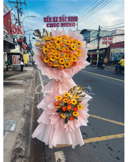 Kệ hoa đồng tiền 