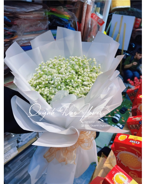 Bó hoa bang trắng 