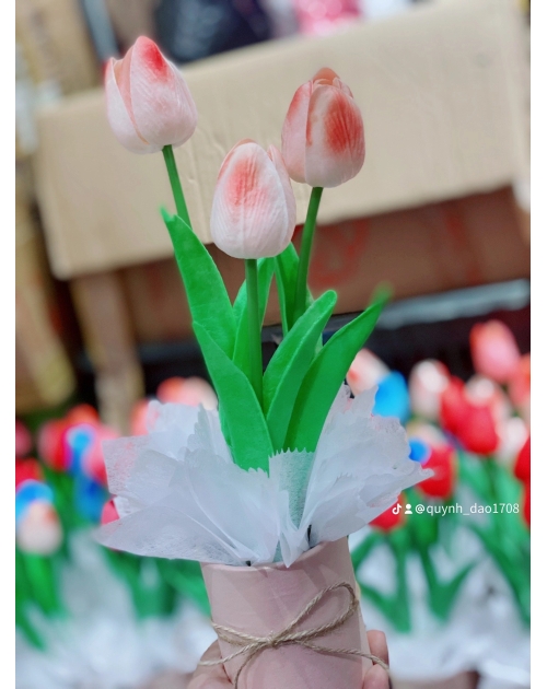 Hộp hoa Tulip để bàn