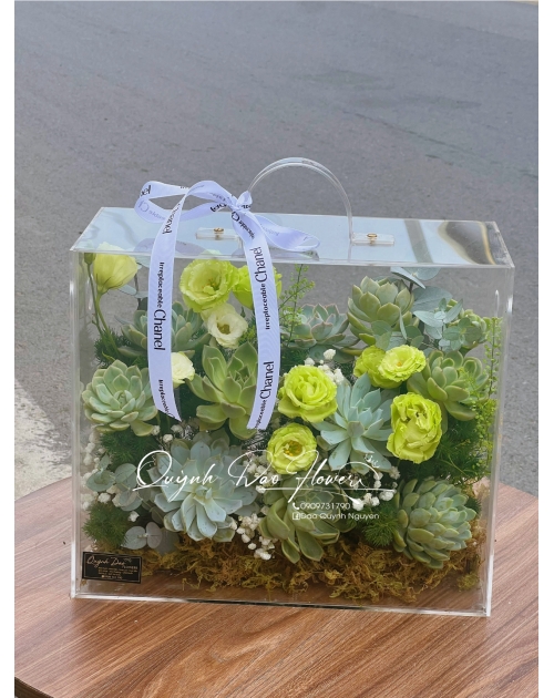 Hộp mica sen đá gần vinhome grand park , quận 9, Thủ Đức