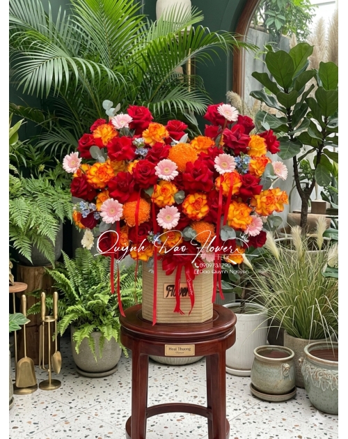 Chậu hoa khai trương đỏ cam
