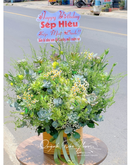 Giỏ hoa sen đá mix  màu xanh lá tặng sếp 