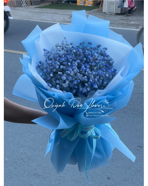 Bó hoa bi tươi xanh dương 