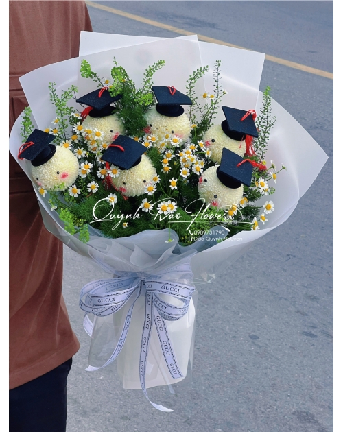 Hoa gấu cúc Ping pong