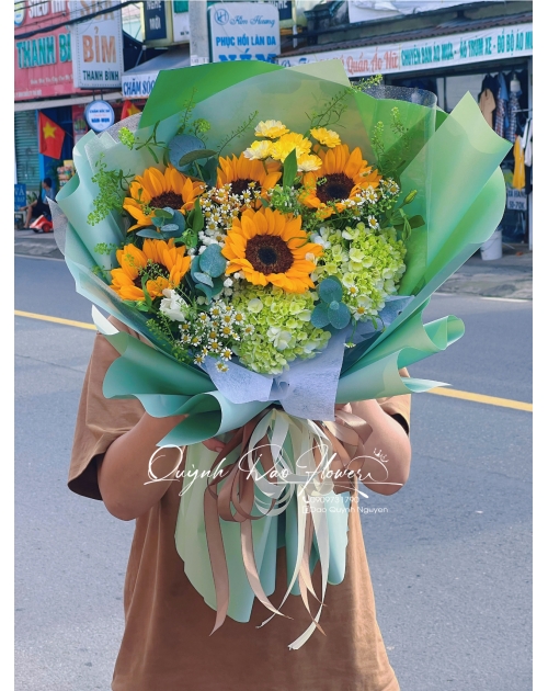 Hoa Tú cầu mix
