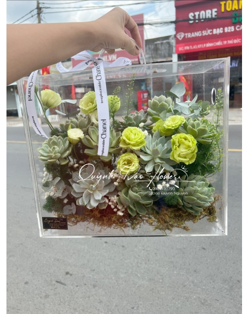 Hộp mica sen đá gần vinhome grand park , quận 9, Thủ Đức