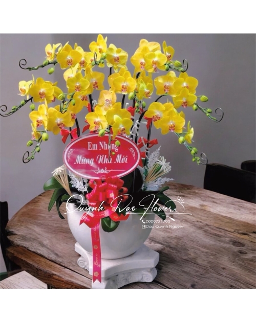 Lan ho điệp vàng 10 nhánh