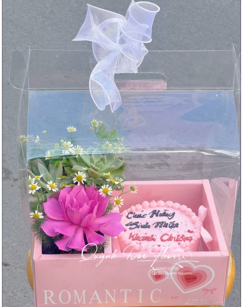 Set bánh và hoa sen đá