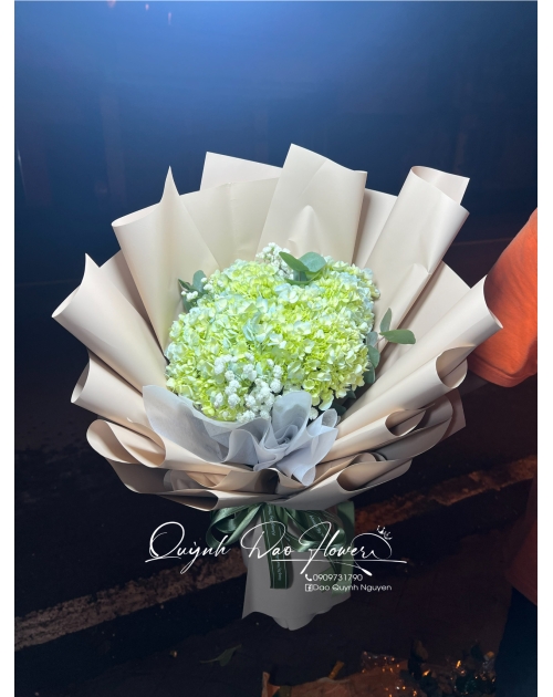 Bó hoa Cẩm Tú cầu nhỏ xinh