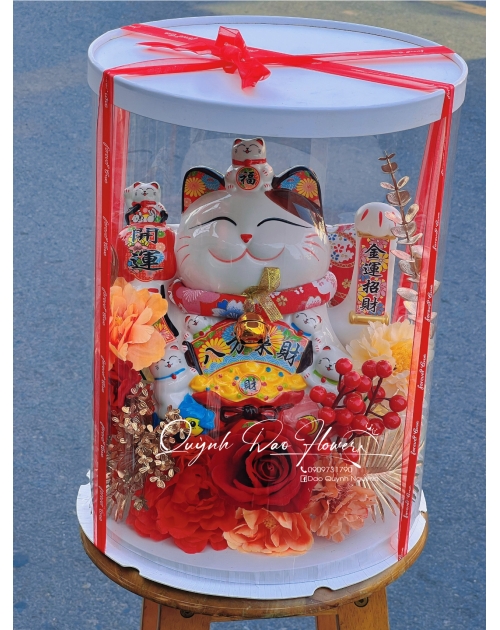 Mèo thần tài thủ Đức , bình Thạnh 