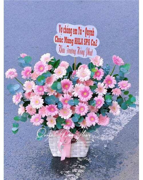 Giỏ hoa khai trương đồng tiền hồng