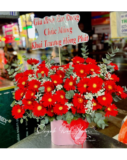 Giỏ hoa đồng tiền khai trương 