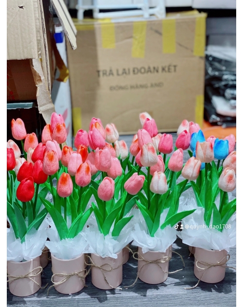 Hộp hoa Tulip để bàn