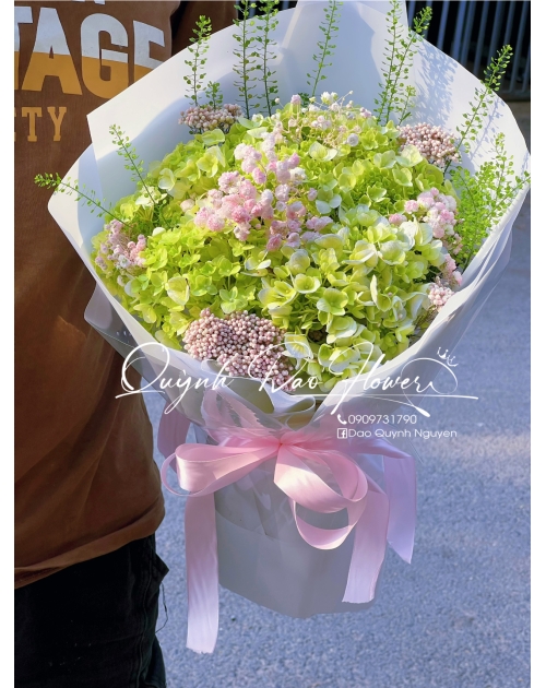 Hoa cẩm tú cầu mix baby hồng