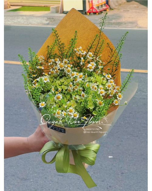 Hoa Cẩm Tú cầu nhỏ