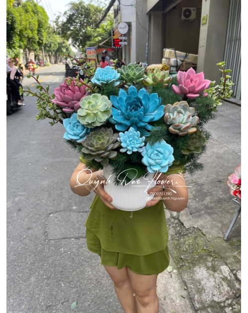 Chậu hoa sen đá tone xanh dương 