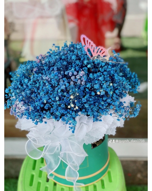 Hộp hoa bi khô màu để bàn