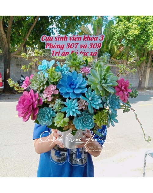 Giỏ hoa sen đá to đẹp 