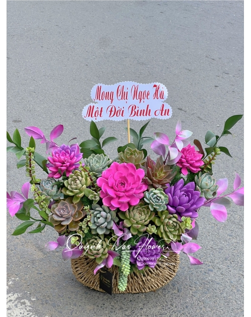 Hoa sen đá bình chiểu 