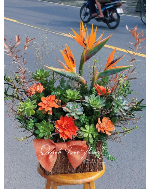 Giỏ sen đá linh trung thủ Đức 