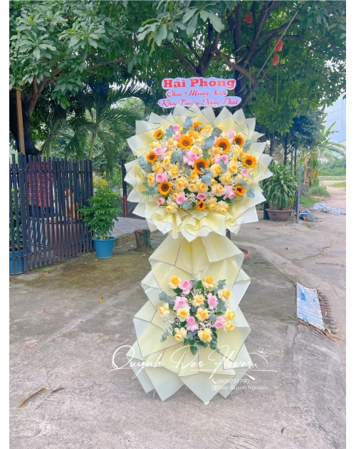 Kệ hoa khai trương hướng dương 