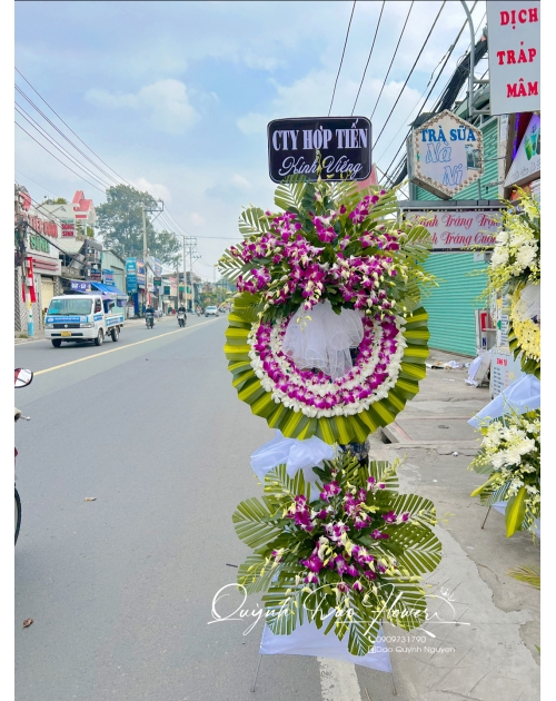 Kệ tang lan trắng tím 