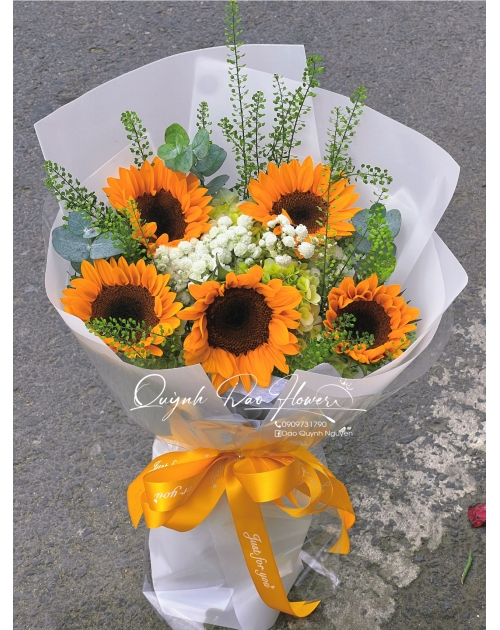 Hoa hướng dương mix tú cầu 