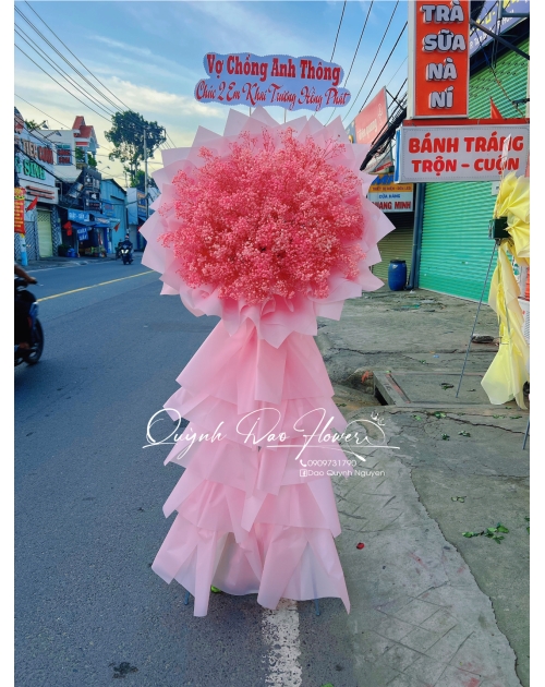 Kệ khai trương baby