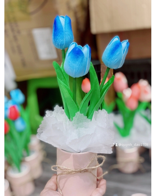 Hộp hoa Tulip để bàn