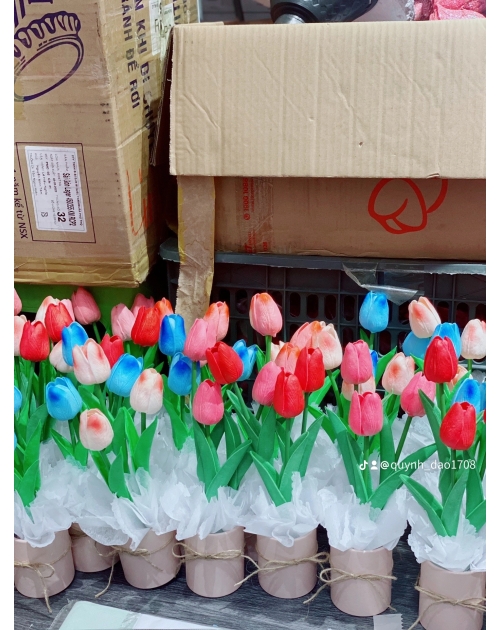 Hộp hoa Tulip để bàn