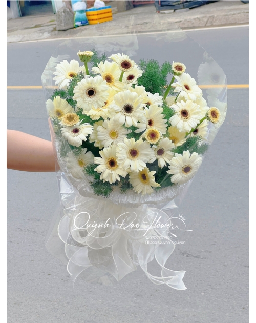 Bó hoa đồng tiền trắng 