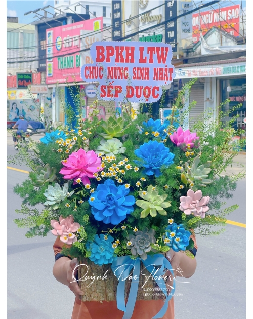 Giỏ hoa sen đá thủ Đức 