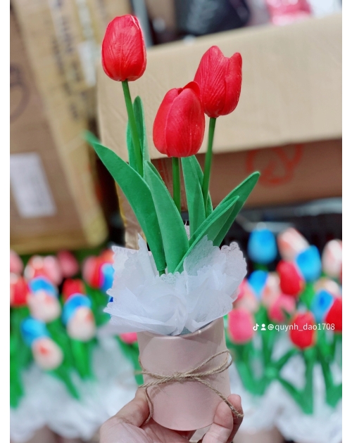 Hộp hoa Tulip để bàn