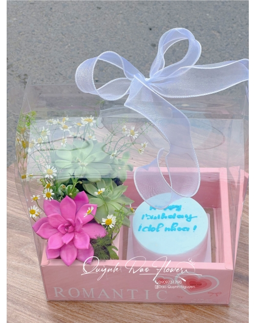 Set bánh kem và sen đá