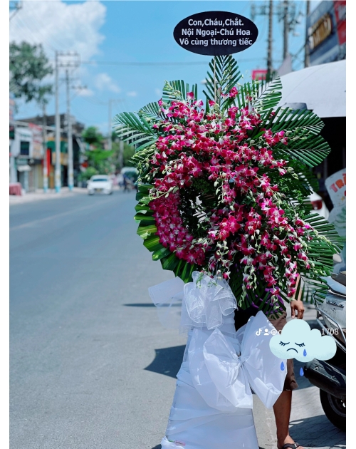 Kệ viếng lan tím giá rẻ nhất 