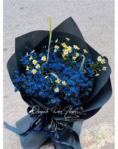 Bó hoa thanh liễu xanh dương 