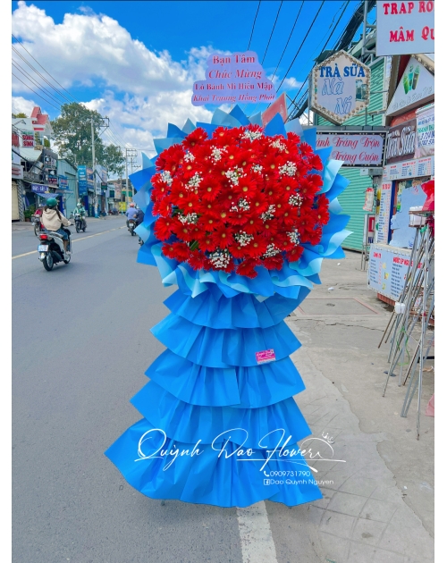 Kệ khai trương hoa đồng tiền 