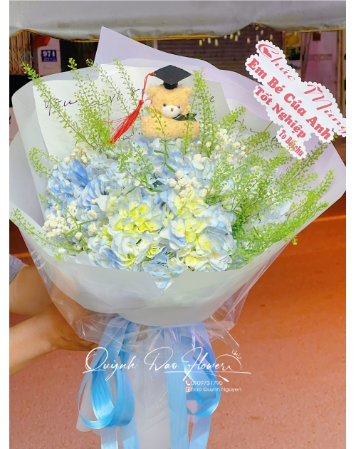 Bó hoa Cẩm Tú cầu kèm gấu tốt nghiệp 