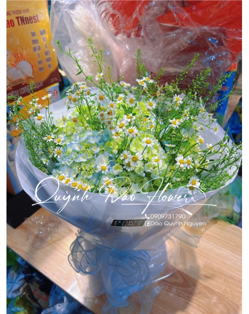 Bó hoa Cẩm Tú cầu to