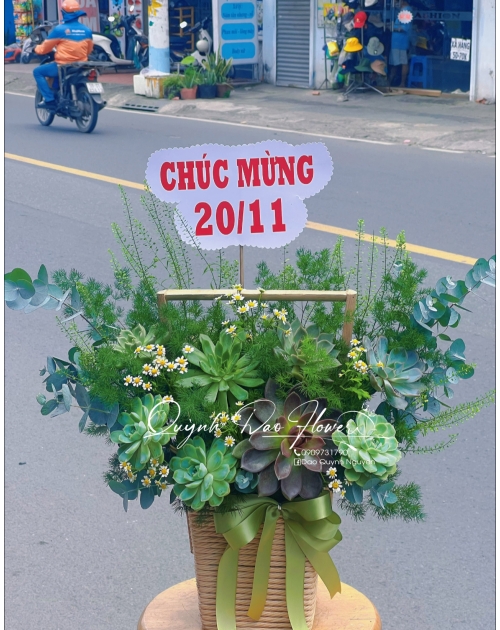 Hoa sen đá nguyên thủy 