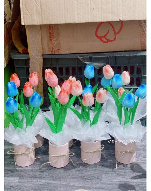 Hộp hoa Tulip để bàn