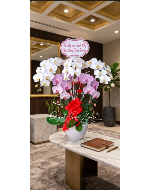 Chậu lan hồ điệp 5 cành