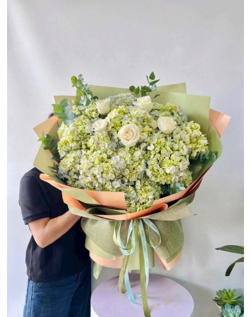 Hoa cẩm tú cầu đẹp 