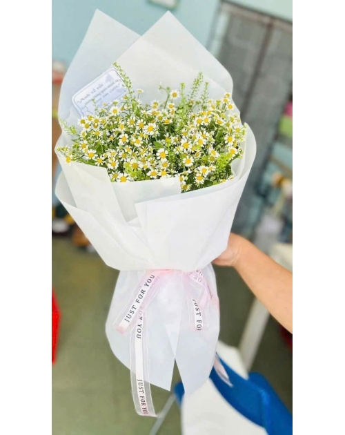 Cúc tana thủ Đức 