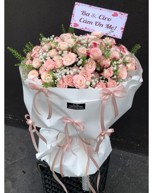 Bó hoa Sophia hồng nhạt